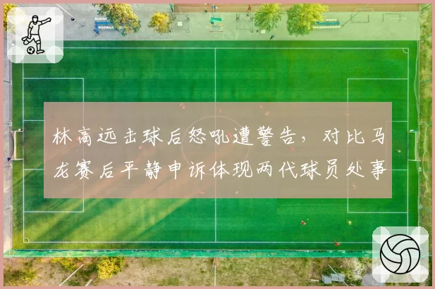 林高远击球后怒吼遭警告,对比马龙赛后平静申诉体现两代球员处事差异