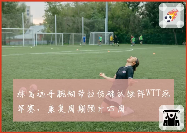 林高远手腕韧带拉伤确认缺阵WTT冠军赛,康复周期预计四周