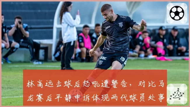 林高远击球后怒吼遭警告,对比马龙赛后平静申诉体现两代球员处事差异