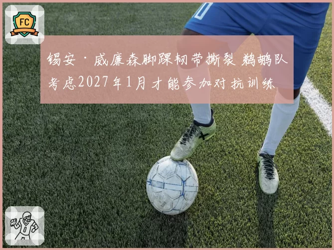 锡安·威廉森脚踝韧带撕裂 鹈鹕队考虑2027年1月才能参加对抗训练