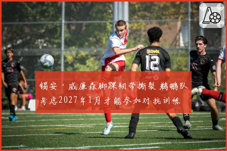 锡安·威廉森脚踝韧带撕裂 鹈鹕队考虑2027年1月才能参加对抗训练